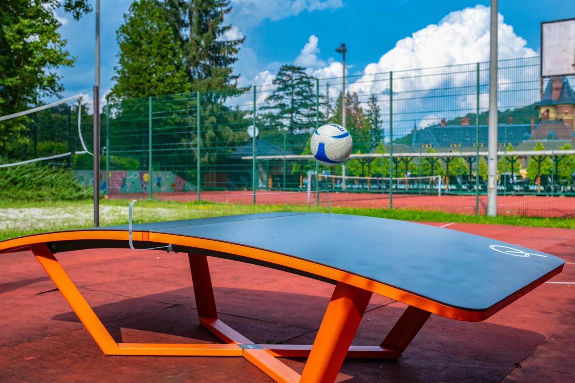 Kastelyhotel Sasvar 4* Paradsasvar